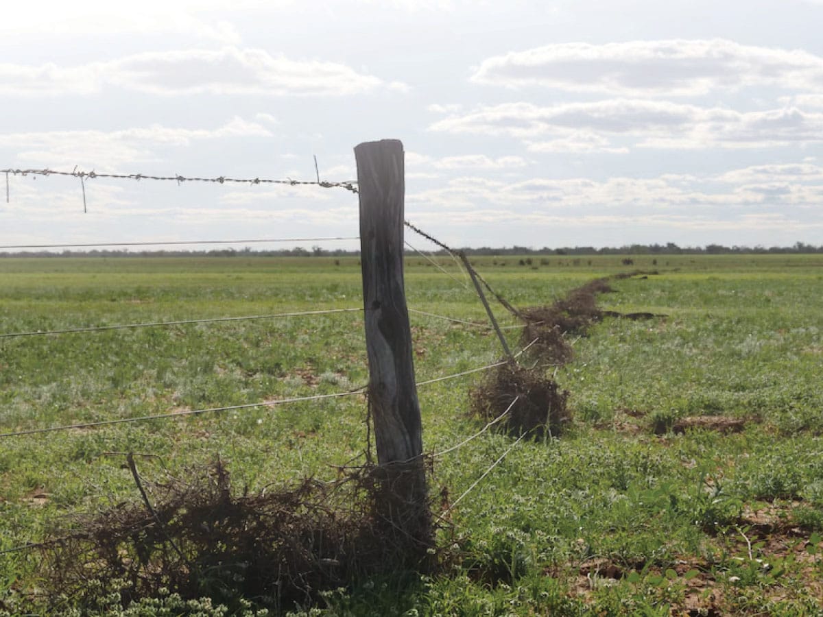 Articles & Resources